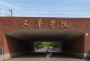 从2016-2019分数线预判文华学院2020录取分数线