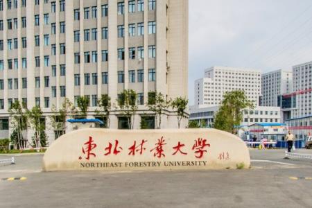 2020东北林业大学排名_2020版排名