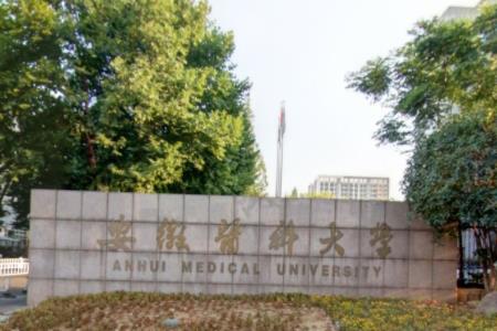 2020安徽医科大学排名_2020版排名