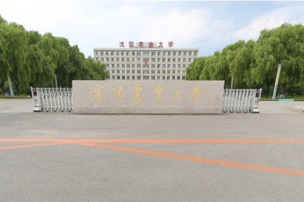 2020沈阳农业大学排名_2020版排名