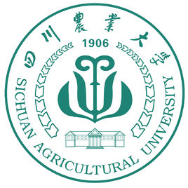 2020四川农业大学排名_2020版排名