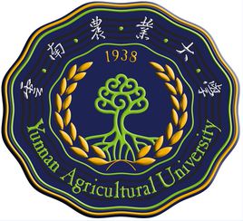 2020云南农业大学排名_2020版排名