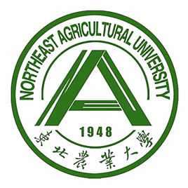 2020东北农业大学研究生（含2016-2020历年复试）