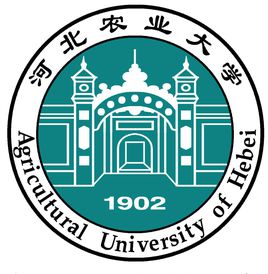 2019河北农业大学研究生（含2017-2019历年复试）