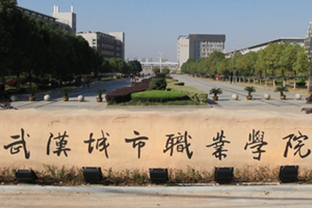 2020年武汉城市职业学院招生章程发布