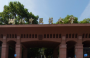 湖北中医药大学