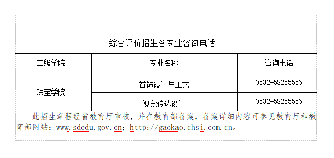 2023年青岛幼儿师范高等专科学校高职综合评价招生章程