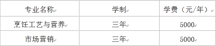 2023年江汉艺术职业学院单招学费及各专业学费多少钱一年