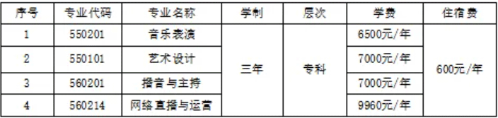 2024年宁夏艺术职业学院自主招生和分类招生简章