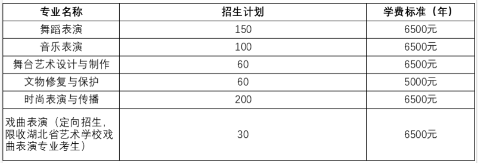 2024年湖北艺术职业学院单招简章
