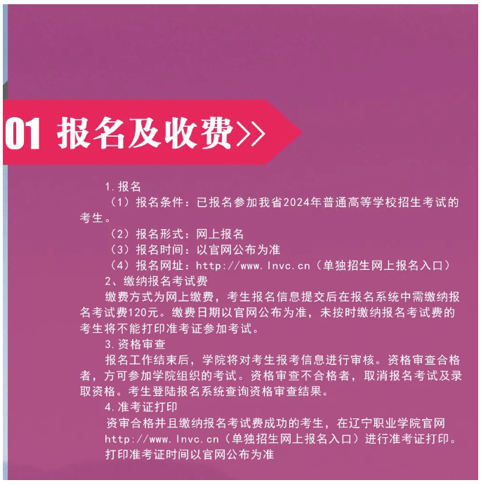 2024年辽宁职业学院单招简章