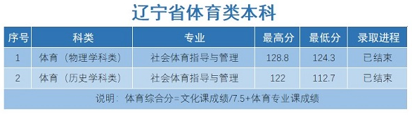 2023沈阳科技学院录取分数线